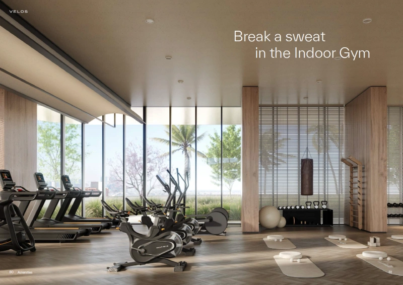 Gemütliches 1-Zimmer-Apartment in fantastischer Gemeinschaft!