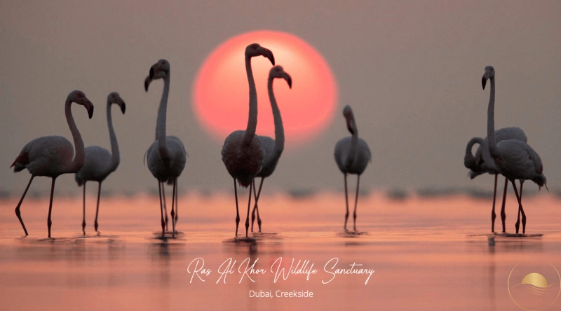 Luxuriöse Residenz | 2-BR + MAID im 1. Wellness-zertifizierte Resort | Keturah Resort