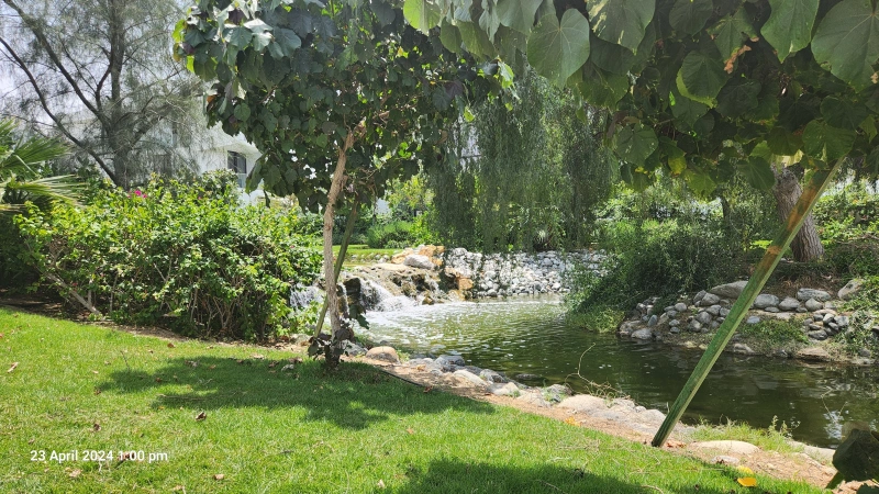 Luxuriöse Villa mit 7 Schlafzimmern, privatem Pool & Garten in Al Barari