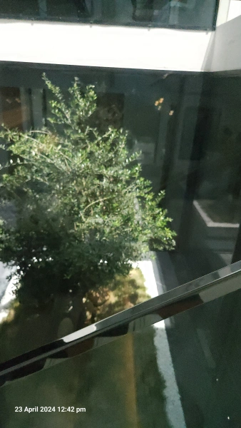 Luxuriöse Villa mit 7 Schlafzimmern, privatem Pool & Garten in Al Barari