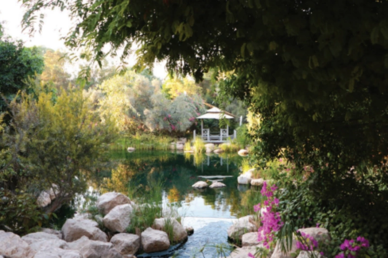 Stilvolles Ein-Zimmer-Apartment mit modernem Design