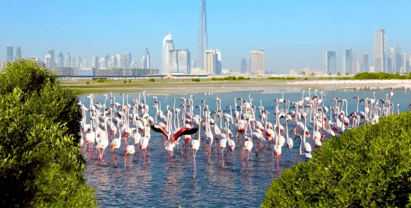 Stilvolles und luxuriöses 2-Zimmer-Apartment mit atemberaubendem Ambiente